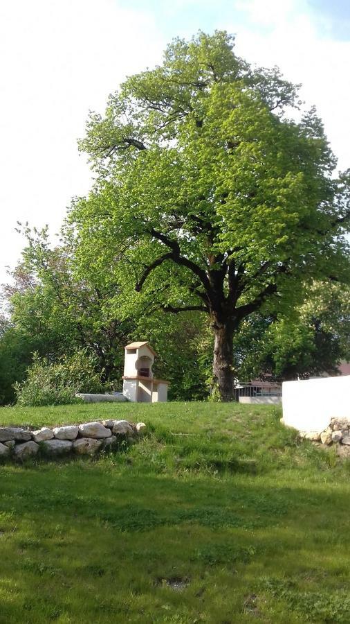Residence Du Chateau Copponex Εξωτερικό φωτογραφία